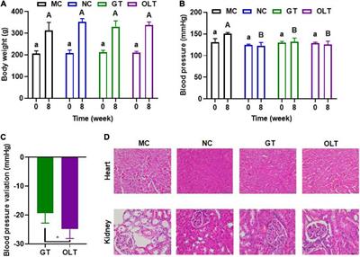 Green and Oolong Tea Extracts With Different Phytochemical Compositions Prevent Hypertension and Modulate the Intestinal Flora in a High-Salt Diet Fed Wistar Rats